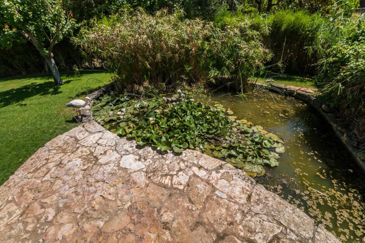 Quinta Das Portelas Apartman Lagos Kültér fotó